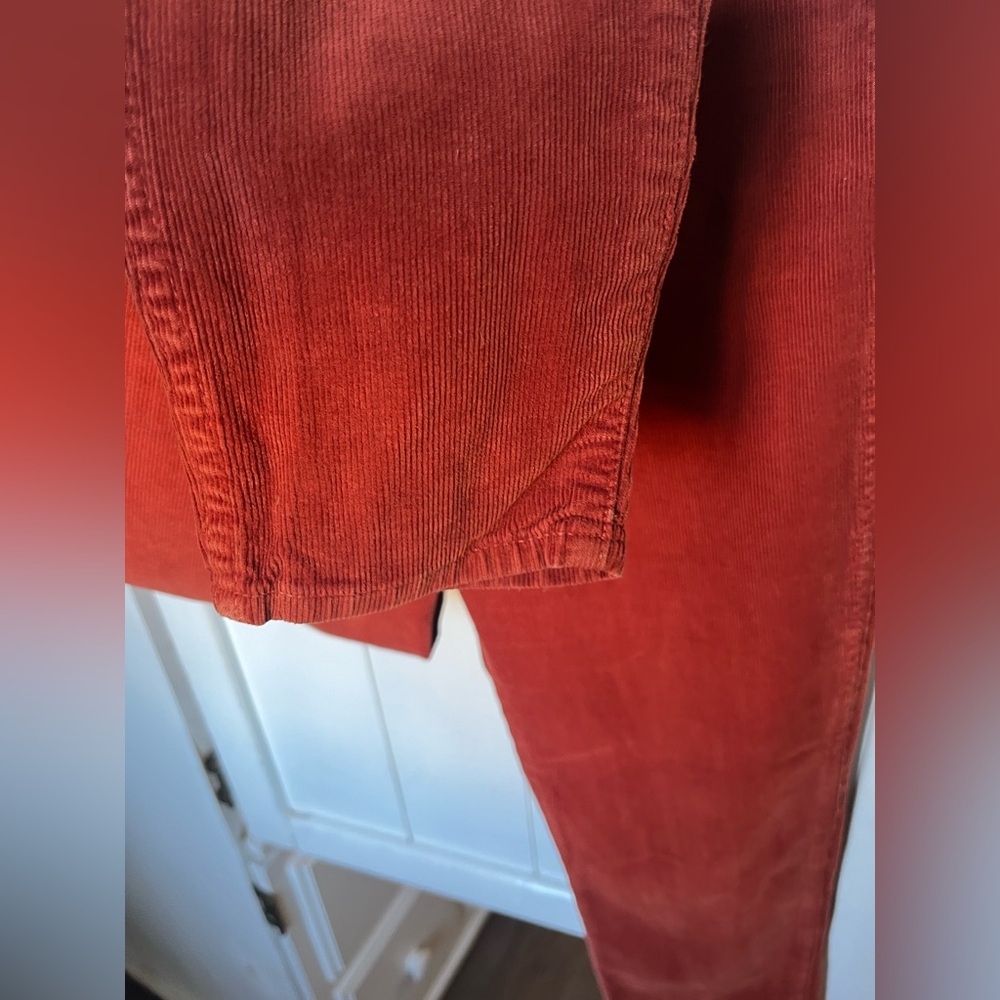 Madewell Burnt Orange High Rise Skinny Corduroy Pants - Picture 3 of 12